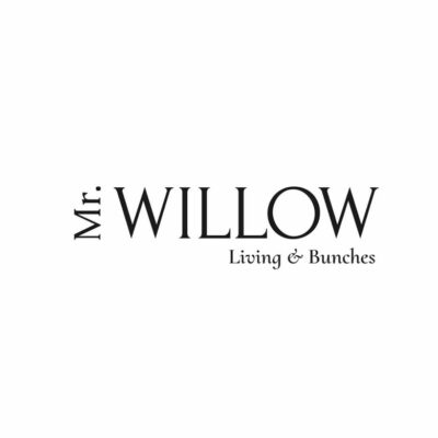 Mr Willow logo